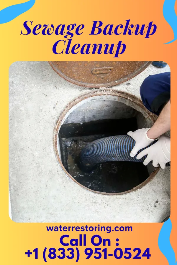 Sewage Backup Cleanup in Cats Bridge, VA