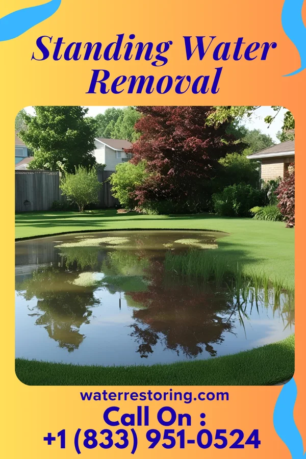 Standing Water Removal in Cats Bridge, VA